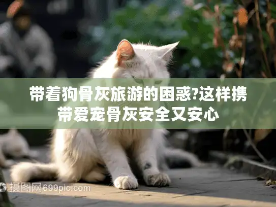 带着狗骨灰旅游的困惑?这样携带爱宠骨灰安全又安心