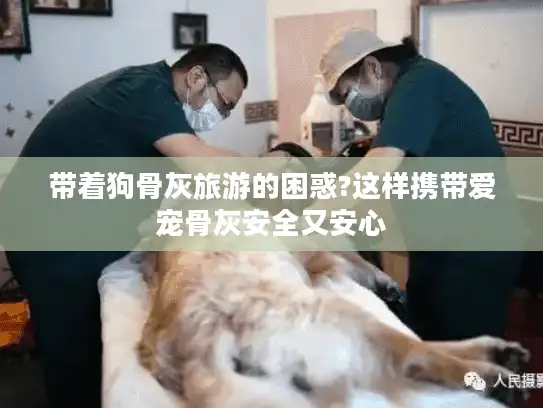 带着狗骨灰旅游的困惑?这样携带爱宠骨灰安全又安心
