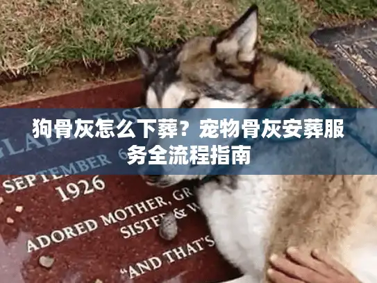 狗骨灰怎么下葬？宠物骨灰安葬服务全流程指南