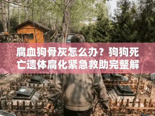 腐血狗骨灰怎么办？狗狗死亡遗体腐化紧急救助完整解决