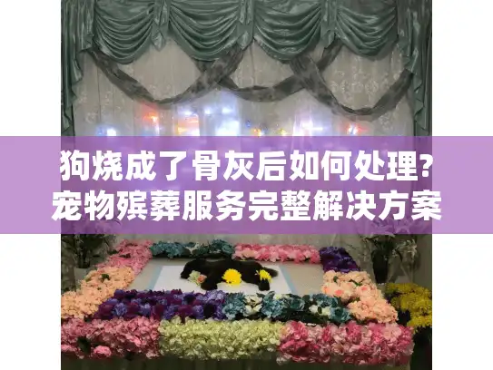 狗烧成了骨灰后如何处理?宠物殡葬服务完整解决方案