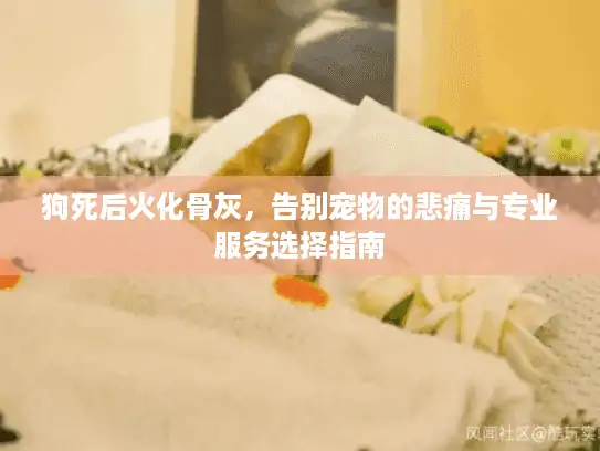 狗死后火化骨灰，告别宠物的悲痛与专业服务选择指南