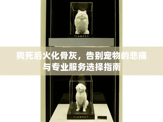 狗死后火化骨灰，告别宠物的悲痛与专业服务选择指南