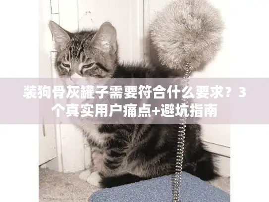 装狗骨灰罐子需要符合什么要求？3个真实用户痛点+避坑指南