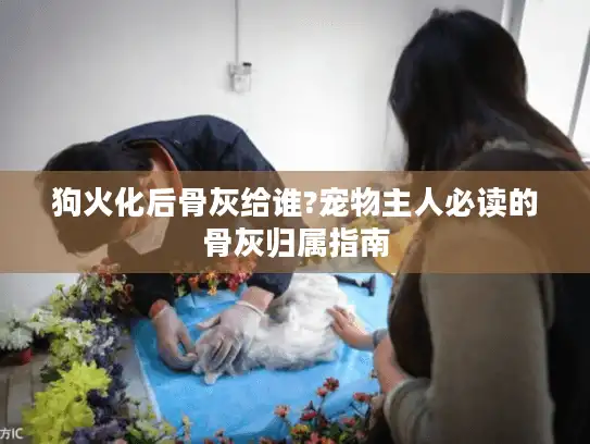 狗火化后骨灰给谁?宠物主人必读的骨灰归属指南