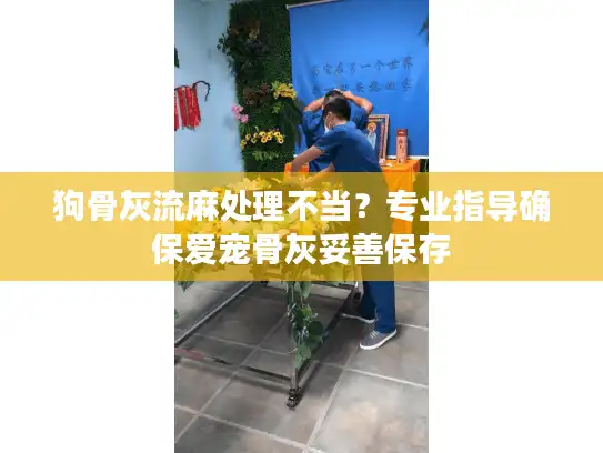 狗骨灰流麻处理不当？专业指导确保爱宠骨灰妥善保存