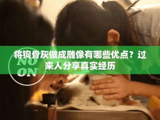 将狗骨灰做成雕像有哪些优点？过来人分享真实经历