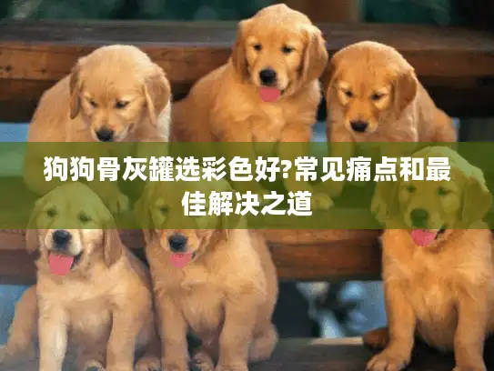 狗狗骨灰罐选彩色好?常见痛点和最佳解决之道
