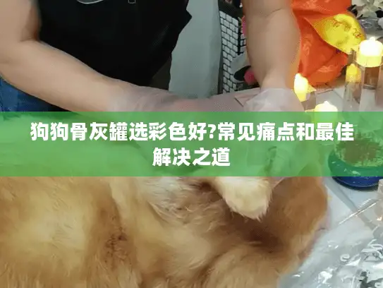 狗狗骨灰罐选彩色好?常见痛点和最佳解决之道