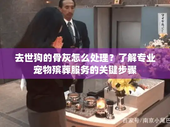 去世狗的骨灰怎么处理？了解专业宠物殡葬服务的关键步骤