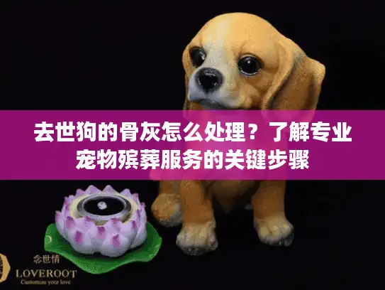 去世狗的骨灰怎么处理？了解专业宠物殡葬服务的关键步骤