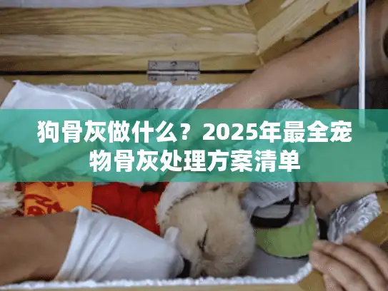 狗骨灰做什么？2025年最全宠物骨灰处理方案清单