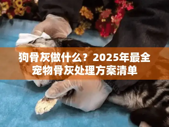 狗骨灰做什么？2025年最全宠物骨灰处理方案清单