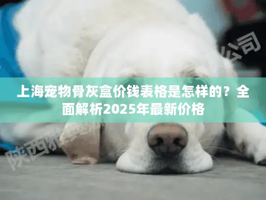上海宠物骨灰盒价钱表格是怎样的？全面解析2025年最新价格