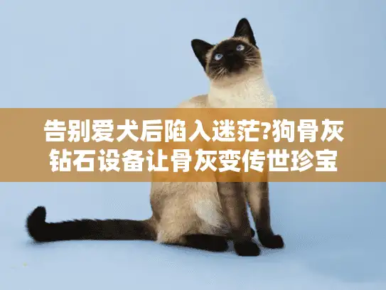 告别爱犬后陷入迷茫?狗骨灰钻石设备让骨灰变传世珍宝