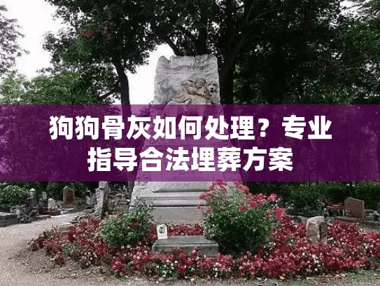 狗狗骨灰如何处理？专业指导合法埋葬方案