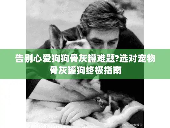 告别心爱狗狗骨灰罐难题?选对宠物骨灰罐狗终极指南
