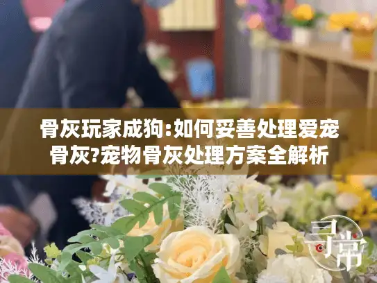 骨灰玩家成狗:如何妥善处理爱宠骨灰?宠物骨灰处理方案全解析
