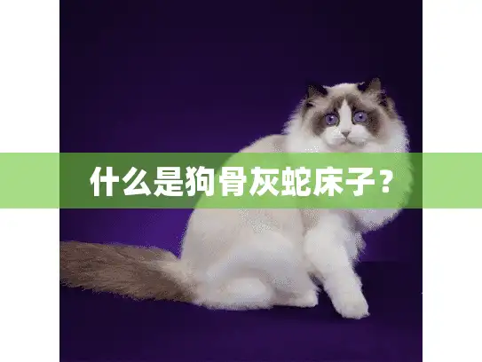 什么是狗骨灰蛇床子？