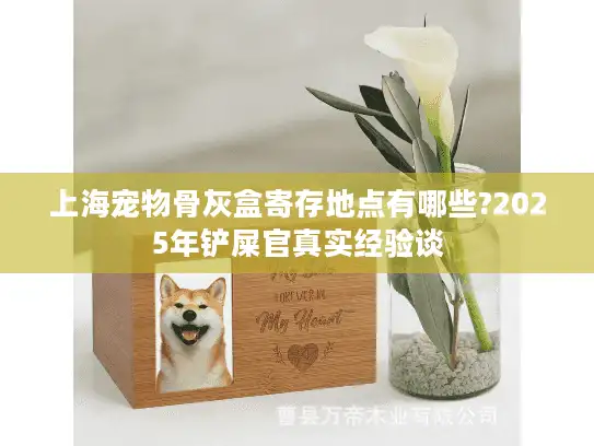 上海宠物骨灰盒寄存地点有哪些?2025年铲屎官真实经验谈