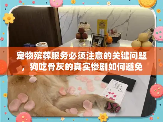 宠物殡葬服务必须注意的关键问题，狗吃骨灰的真实惨剧如何避免