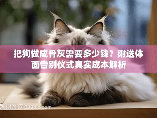 把狗做成骨灰需要多少钱？附送体面告别仪式真实成本解析