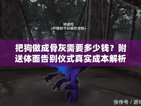 把狗做成骨灰需要多少钱？附送体面告别仪式真实成本解析