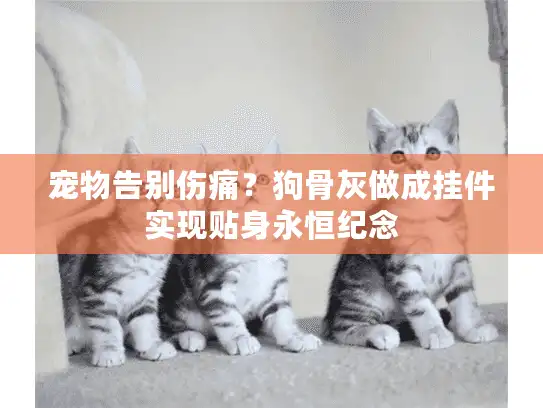 宠物告别伤痛？狗骨灰做成挂件实现贴身永恒纪念