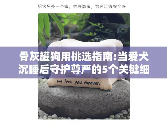 骨灰罐狗用挑选指南:当爱犬沉睡后守护尊严的5个关键细节