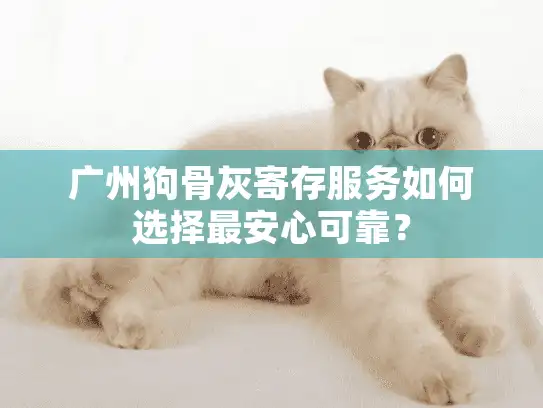 广州狗骨灰寄存服务如何选择最安心可靠？