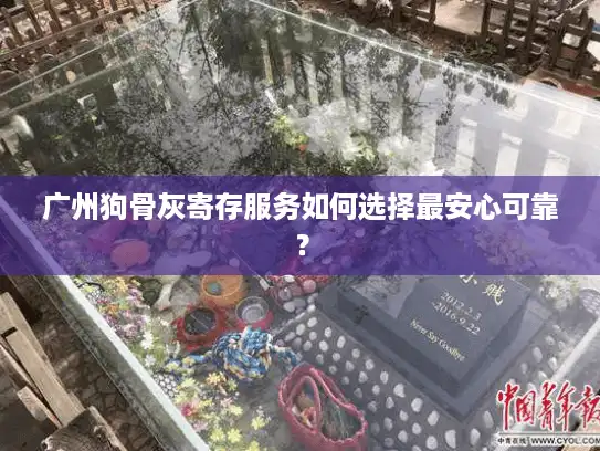 广州狗骨灰寄存服务如何选择最安心可靠？