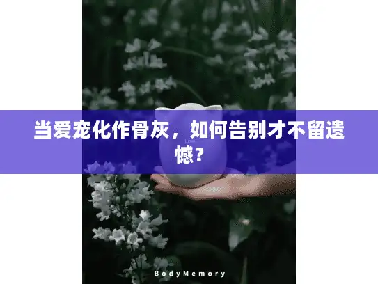 当爱宠化作骨灰，如何告别才不留遗憾？