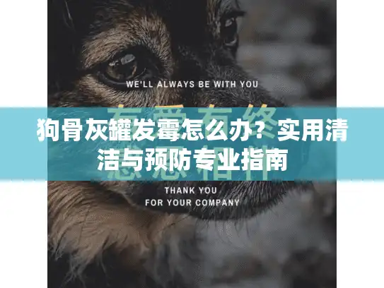 狗骨灰罐发霉怎么办？实用清洁与预防专业指南
