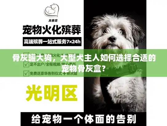 骨灰罐大狗，大型犬主人如何选择合适的宠物骨灰盒？