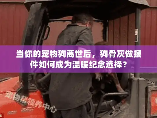 当你的宠物狗离世后，狗骨灰做摆件如何成为温暖纪念选择？