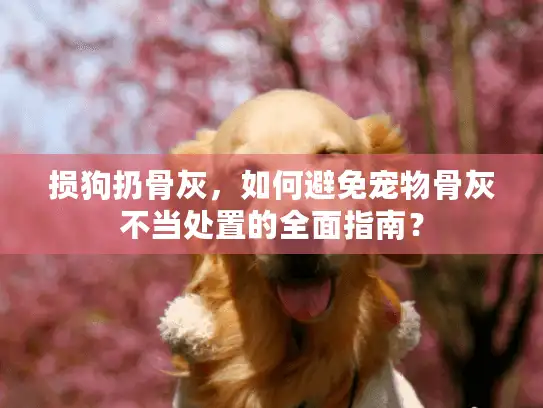损狗扔骨灰，如何避免宠物骨灰不当处置的全面指南？