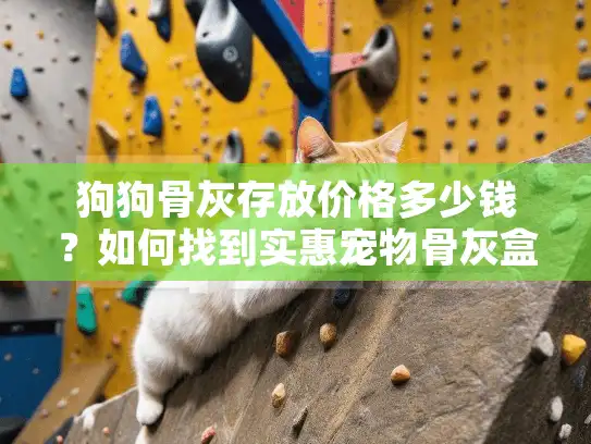 狗狗骨灰存放价格多少钱？如何找到实惠宠物骨灰盒存放服务？