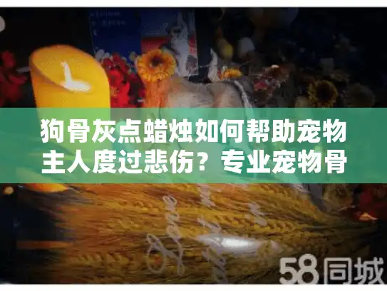 狗骨灰点蜡烛如何帮助宠物主人度过悲伤？专业宠物骨灰纪念仪式指南