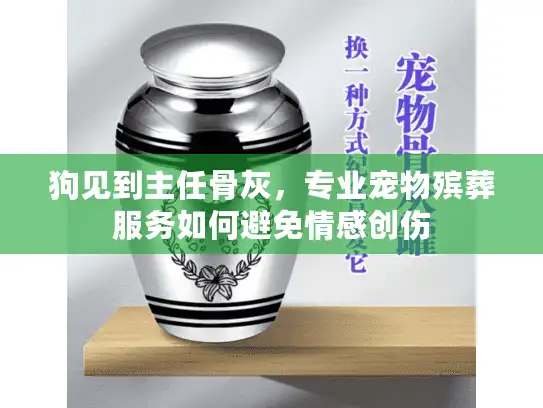 狗见到主任骨灰，专业宠物殡葬服务如何避免情感创伤