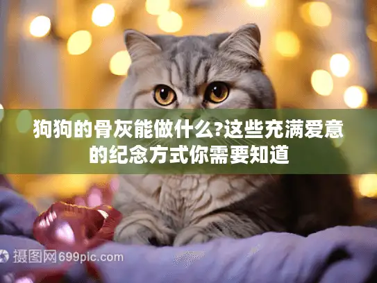 狗狗的骨灰能做什么?这些充满爱意的纪念方式你需要知道