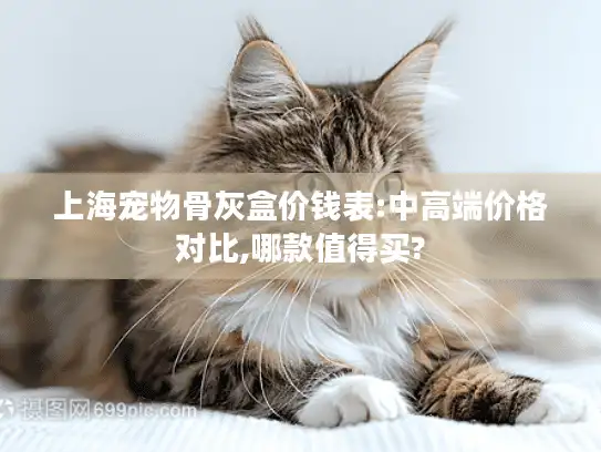 上海宠物骨灰盒价钱表:中高端价格对比,哪款值得买?