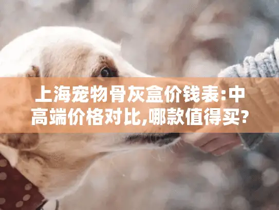 上海宠物骨灰盒价钱表:中高端价格对比,哪款值得买?
