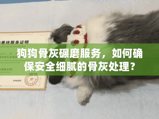 狗狗骨灰碾磨服务，如何确保安全细腻的骨灰处理？