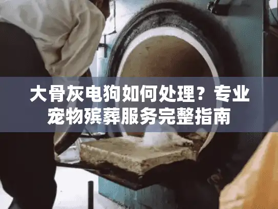 大骨灰电狗如何处理？专业宠物殡葬服务完整指南