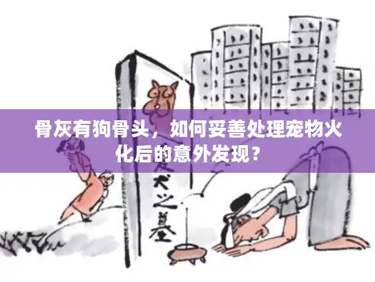 骨灰有狗骨头，如何妥善处理宠物火化后的意外发现？