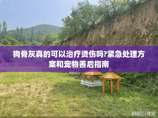 狗骨灰真的可以治疗烫伤吗?紧急处理方案和宠物善后指南