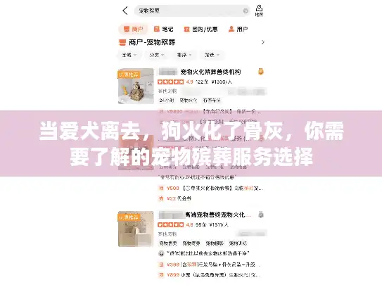 当爱犬离去，狗火化了骨灰，你需要了解的宠物殡葬服务选择