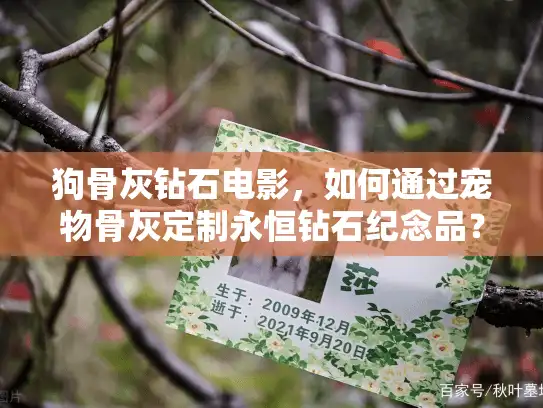 狗骨灰钻石电影，如何通过宠物骨灰定制永恒钻石纪念品？