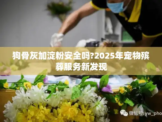 狗骨灰加淀粉安全吗?2025年宠物殡葬服务新发现