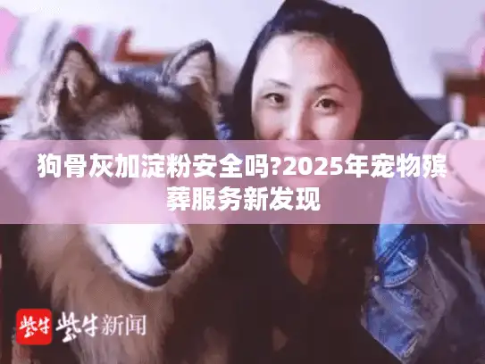 狗骨灰加淀粉安全吗?2025年宠物殡葬服务新发现